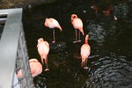 DSC_9169.JPG